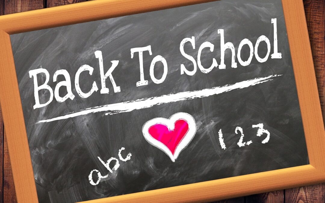 Schulstart 26/27