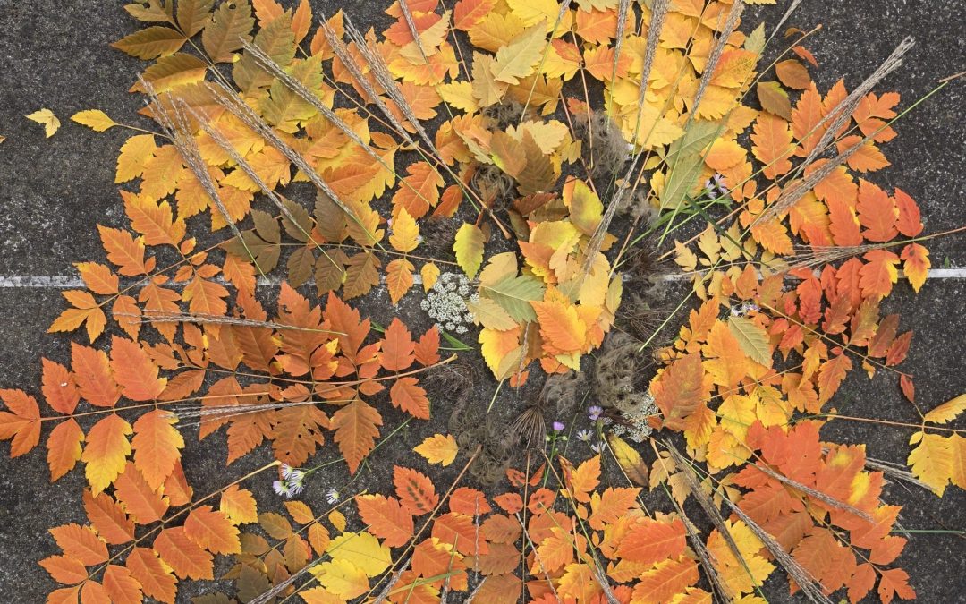Herbstwanderung zum Goldberg